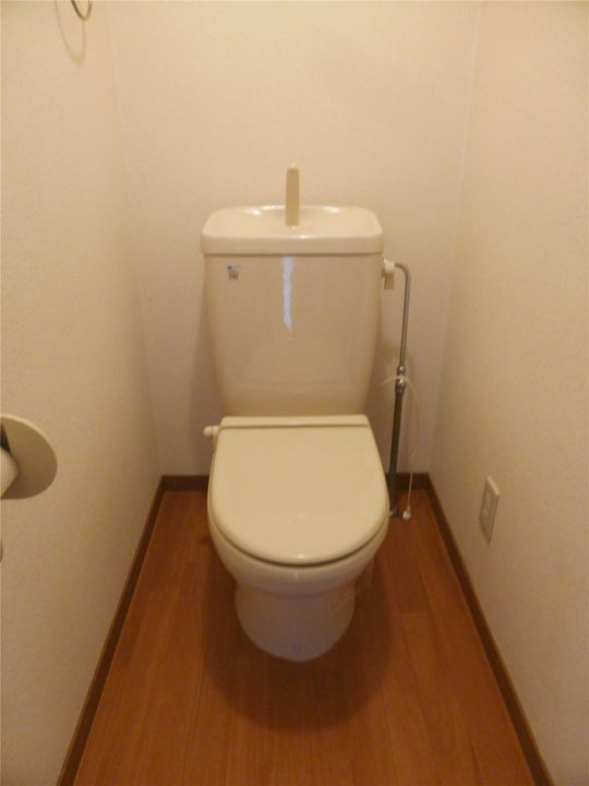 グリーンマンションコブナトの内装