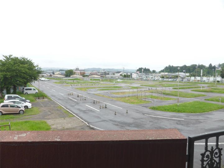 グリーンマンションコブナトの内装