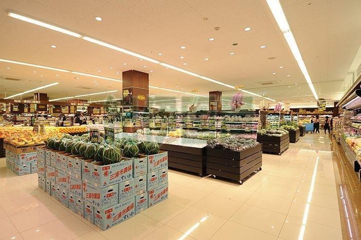 神奈川県足柄上郡大井町金子(一戸建)の賃貸物件の周辺