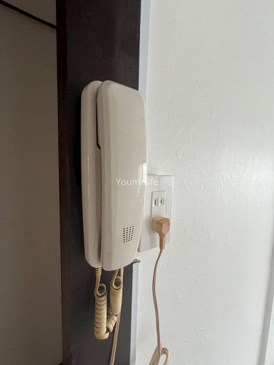 神奈川県藤沢市辻堂新町3(一戸建)の賃貸物件の内装