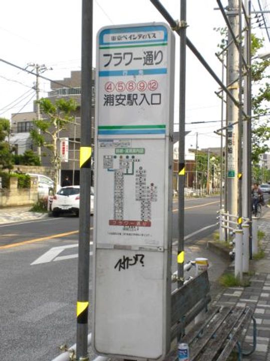 パールハイツ堀江の周辺