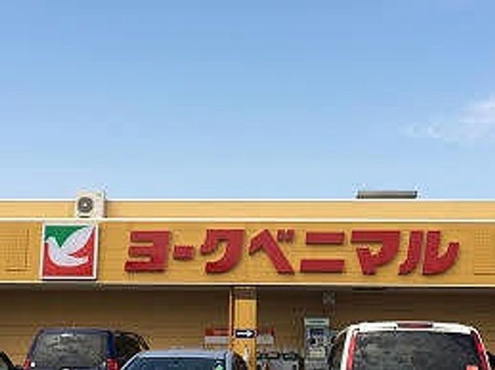 栃木県宇都宮市西川田町(一戸建)の賃貸物件の周辺