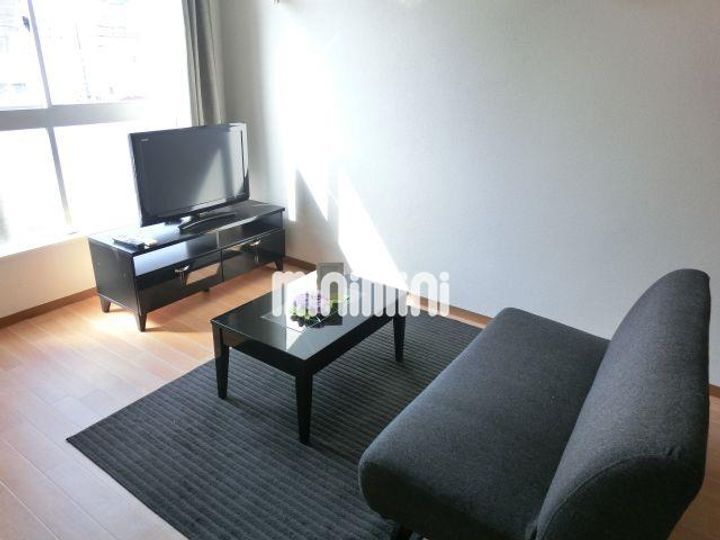 グランドゥール稲川IIの内装