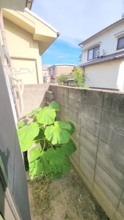 岡山県岡山市中区新京橋3(一戸建)の賃貸物件の内装