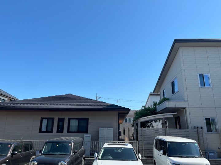 マリーゴールドのその他画像