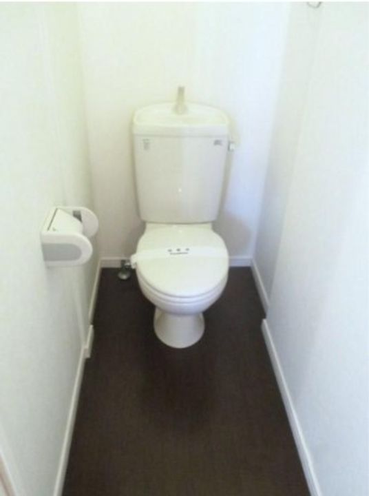 千葉県習志野市屋敷2(アパート)の賃貸物件の内装