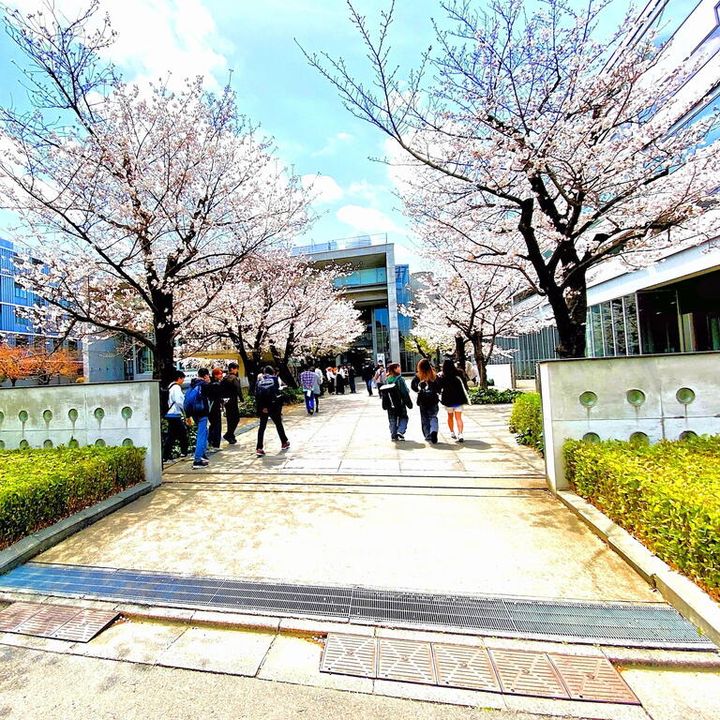 シャト-尾山台の周辺