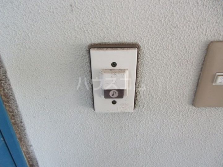 コスモスイトウのその他画像