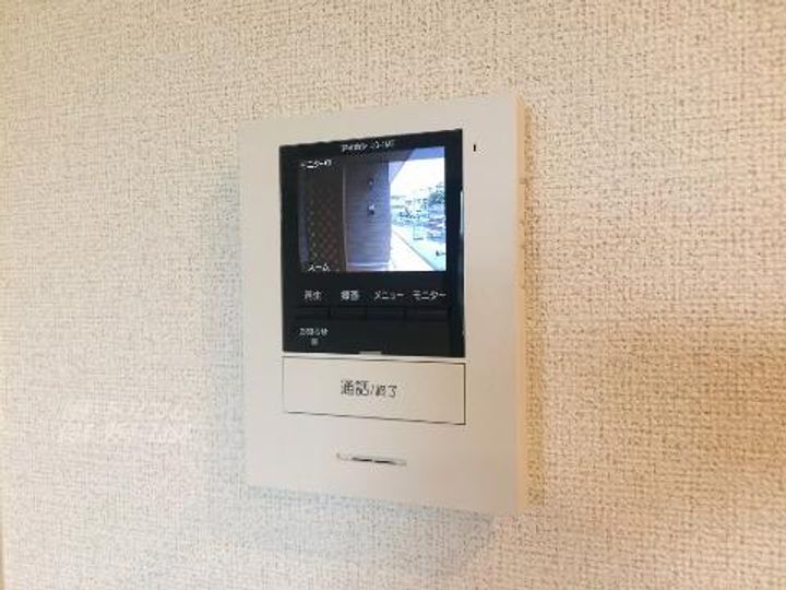 ストレリチア・アルバの内装