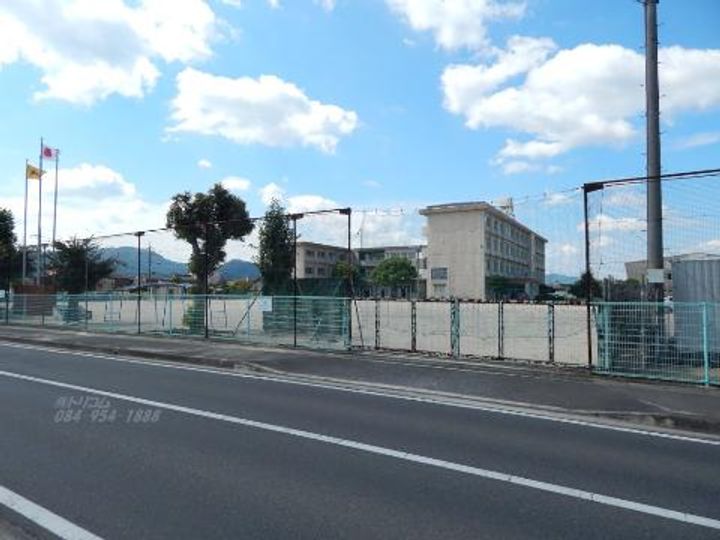 ストレリチア・アルバの周辺
