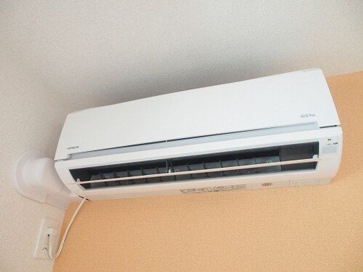 ヴィオラの内装