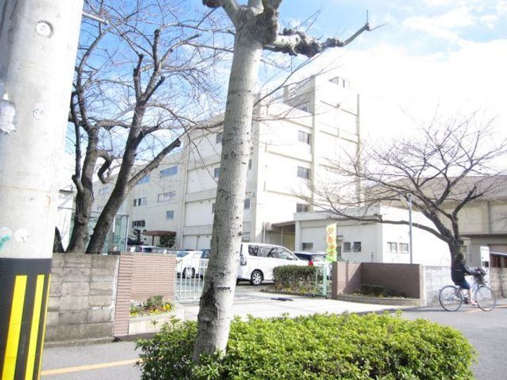 ナリッシュの周辺