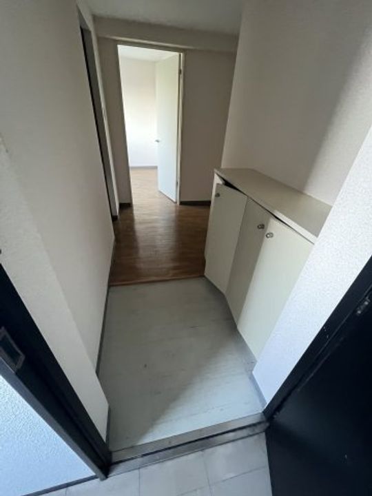 ハウスオブリザ平岸7番館の玄関