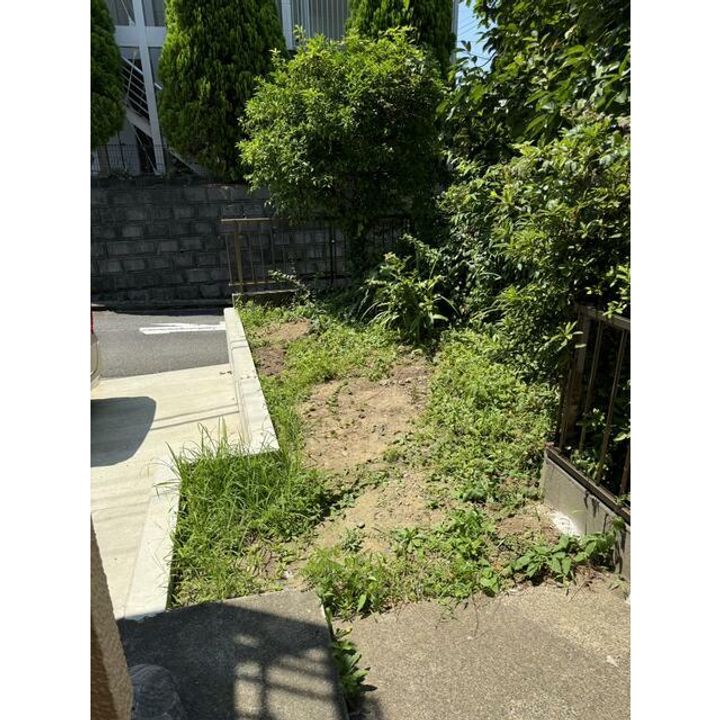 神奈川県中郡二宮町二宮(一戸建)の賃貸物件の内装