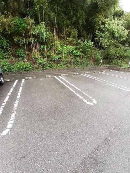 たんぽぽのその他画像