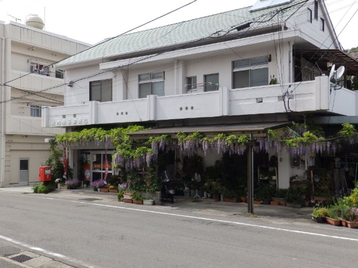 ホワイトヒルの周辺