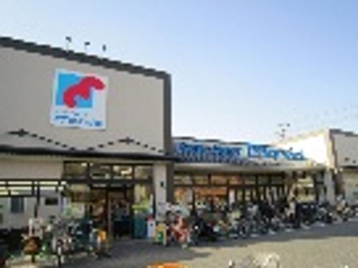 平野ハイツ(流町)の周辺