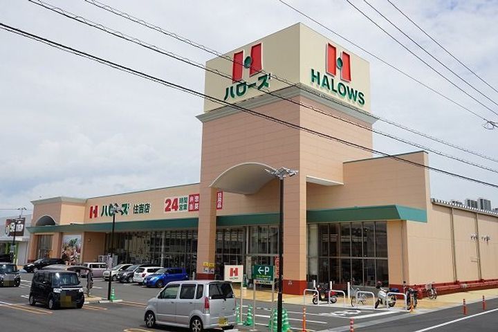 徳島県徳島市北沖洲3(アパート)の賃貸物件の周辺