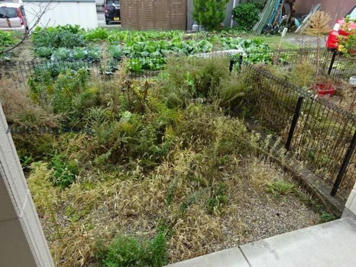 愛知県碧南市城山町3(アパート)の賃貸物件の内装