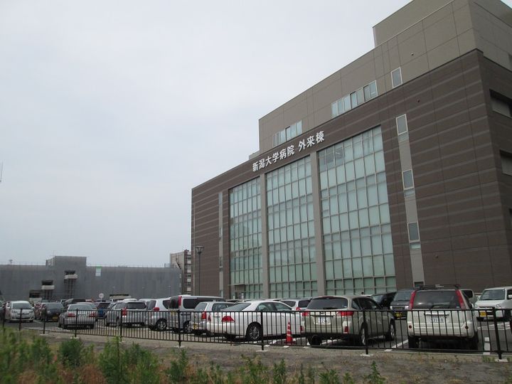 コーポ蘭の周辺