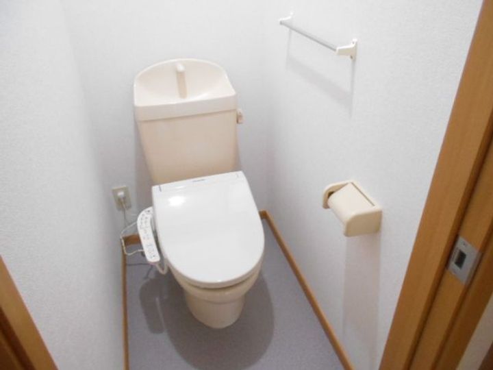 岐阜県岐阜市上土居4(アパート)の賃貸物件の内装