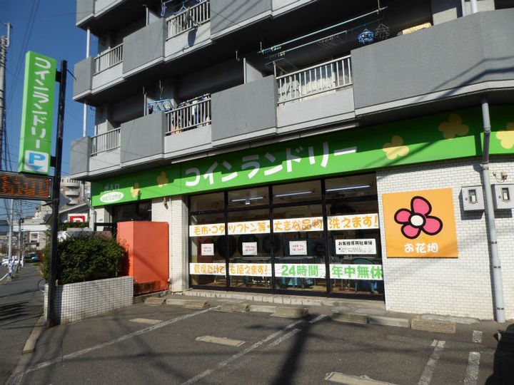 ルピナス守恒の周辺