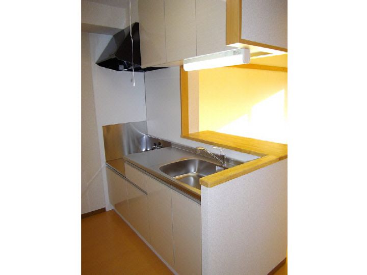 グリーンヒルタカハシIIIのキッチン