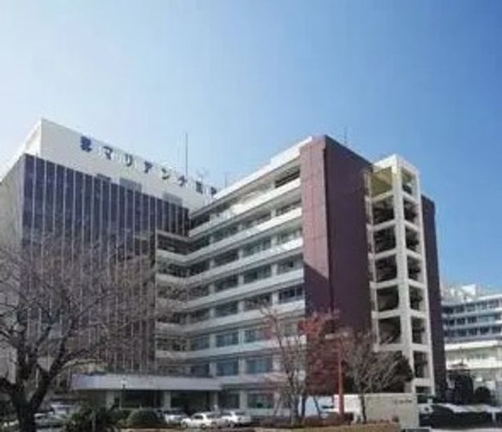アスターミキの周辺