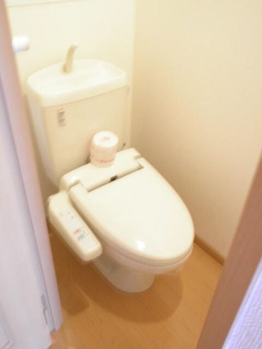 千葉県流山市前平井(マンション)の賃貸物件の内装