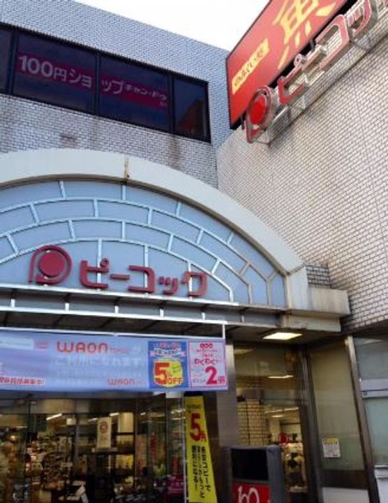 スカイパレス若宮の周辺