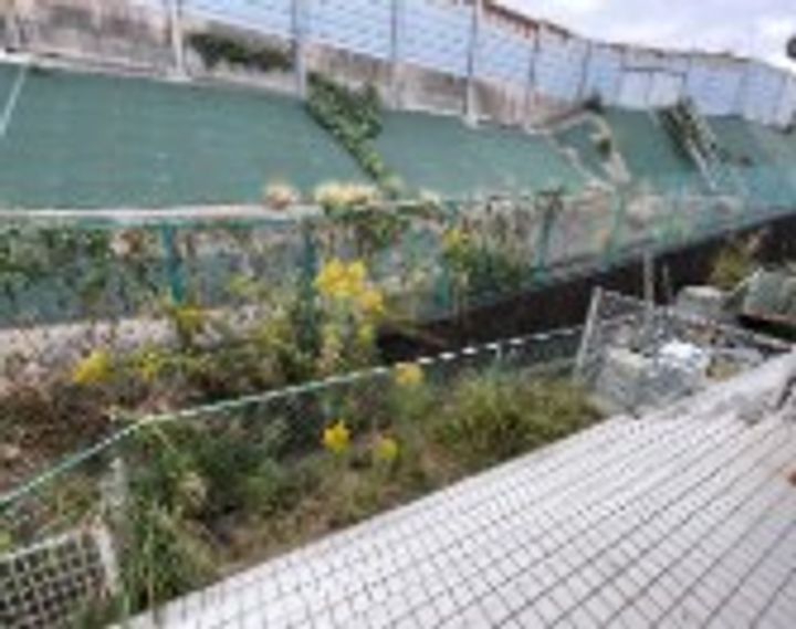 神奈川県横浜市戸塚区矢部町(一戸建)の賃貸物件の内装