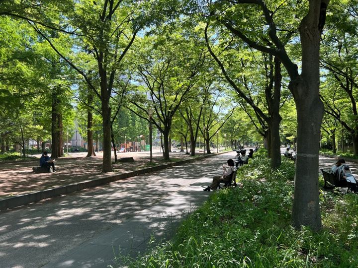 クレストコート靱公園 THE CLASSの周辺