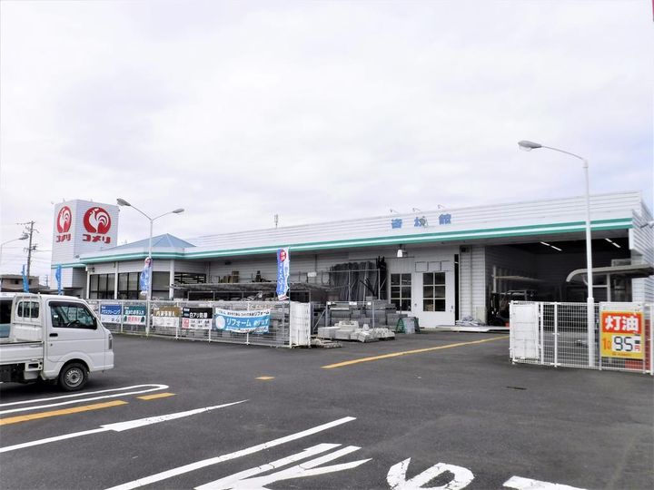 クローバーの周辺