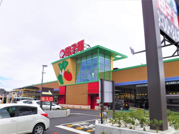 クローバーの周辺