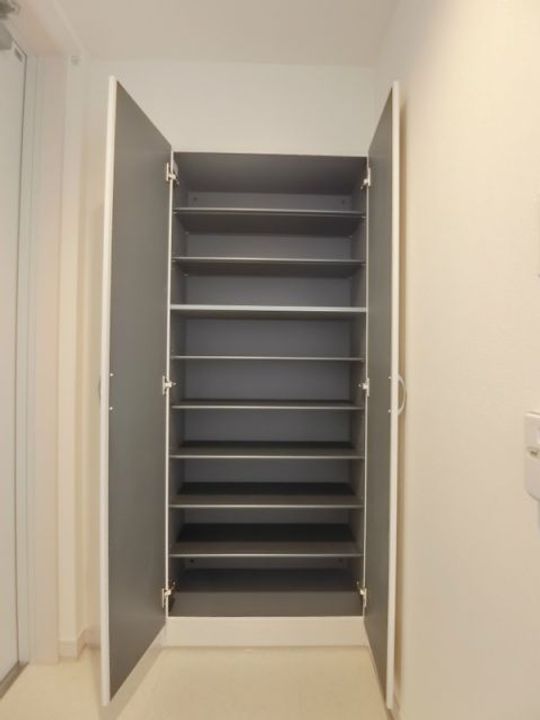 埼玉県吉川市大字保(マンション)の賃貸物件の玄関