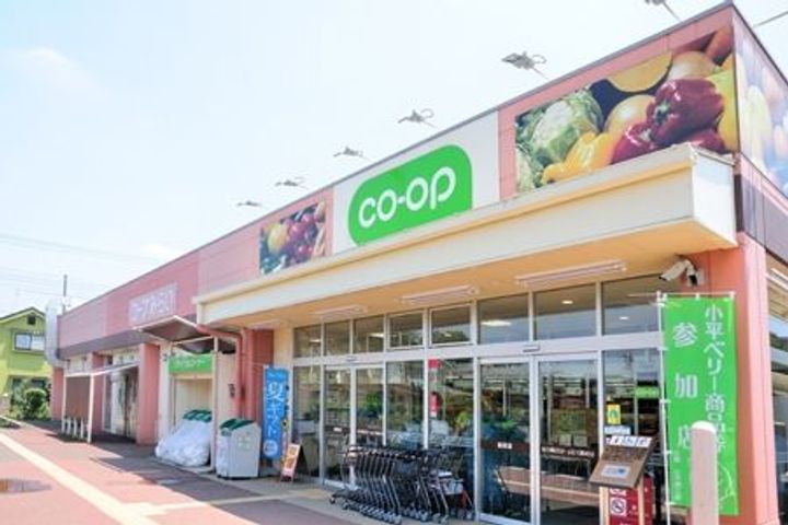 東京都小平市回田町(マンション)の賃貸物件の周辺