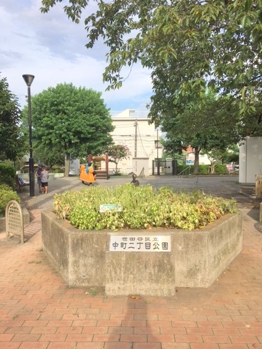東京都世田谷区上野毛4(マンション)の賃貸物件の周辺