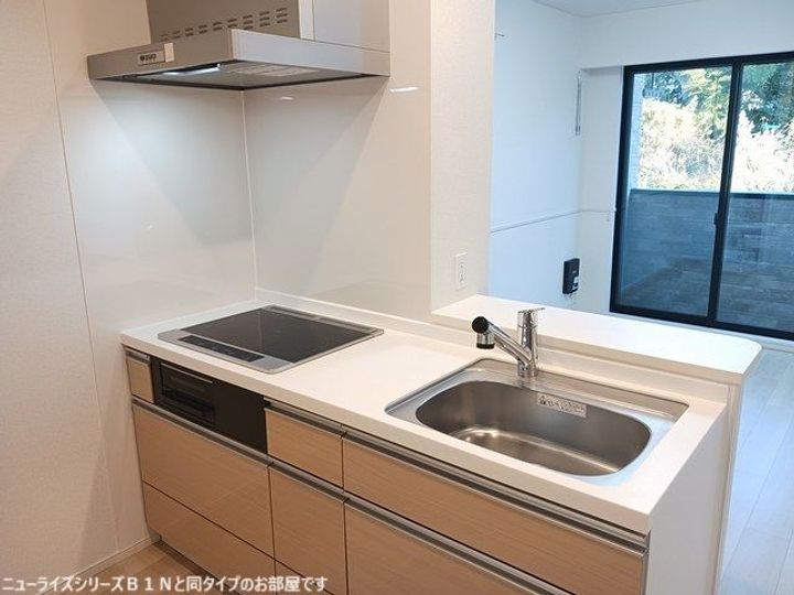 埼玉県川口市大字藤兵衛新田(アパート)の賃貸物件のキッチン