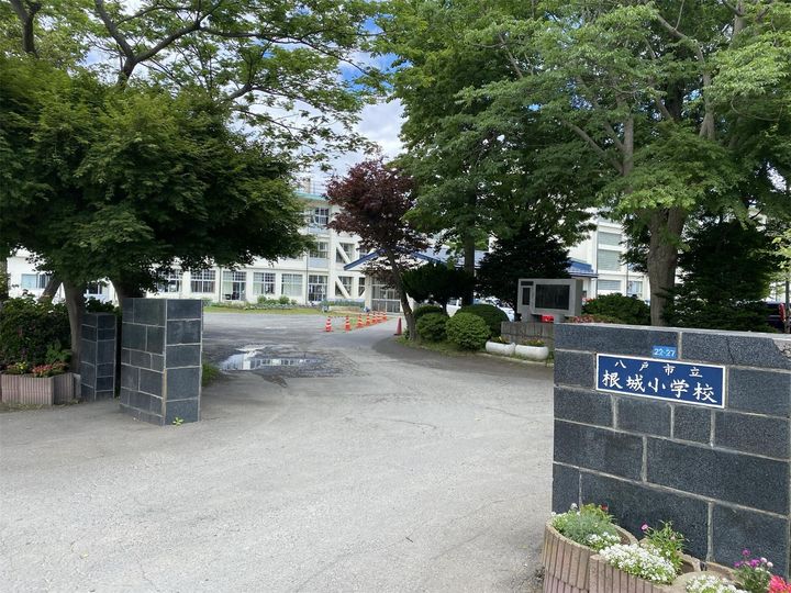 セジュール杉本Aの周辺