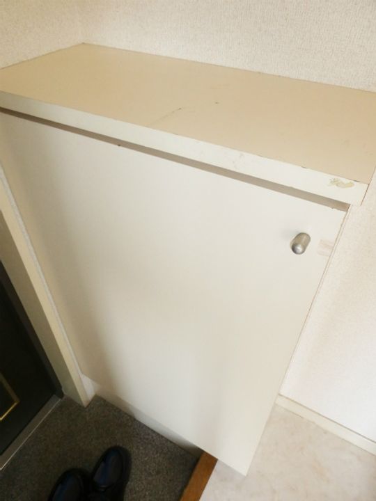 エスパッソ綾瀬の玄関