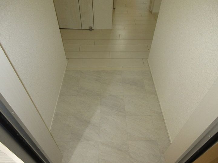 大阪府大阪市平野区背戸口1(アパート)の賃貸物件の玄関