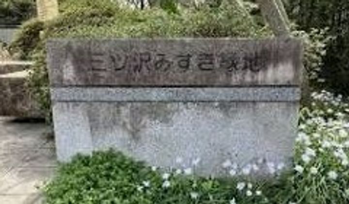 グレイスウッド三ツ沢上町の周辺