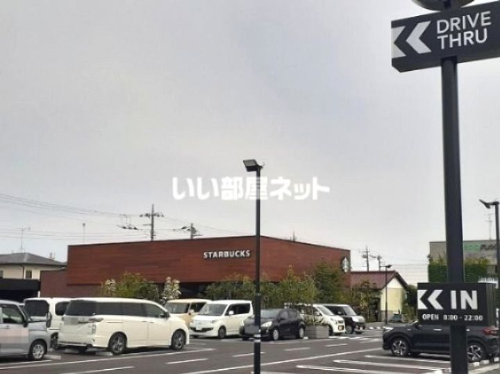 欅(けやき)の周辺