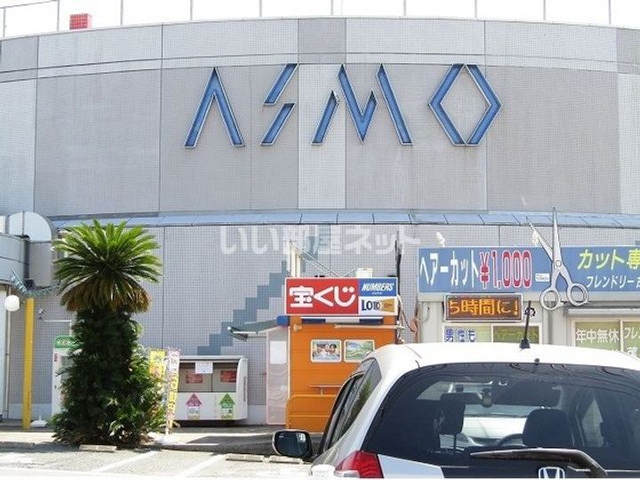 欅(けやき)の周辺