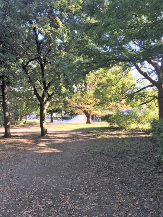 ビバリーホームズ稲田堤の周辺