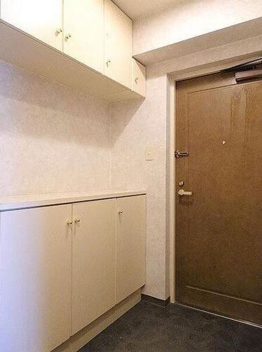 北海道札幌市中央区南十九条西14(マンション)の賃貸物件の玄関