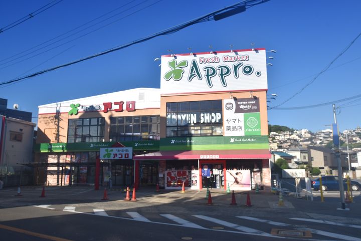 スカイハイツ玉手の周辺