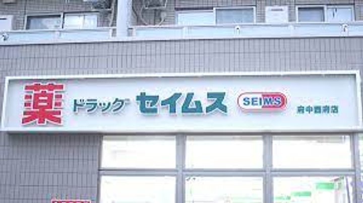 東京都府中市西府町4(一戸建)の賃貸物件の周辺