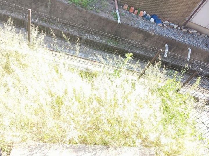 岐阜県美濃加茂市西町6(一戸建)の賃貸物件の内装