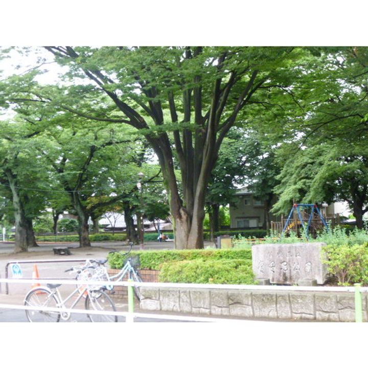 フェリーチェ常盤台壱番館の周辺